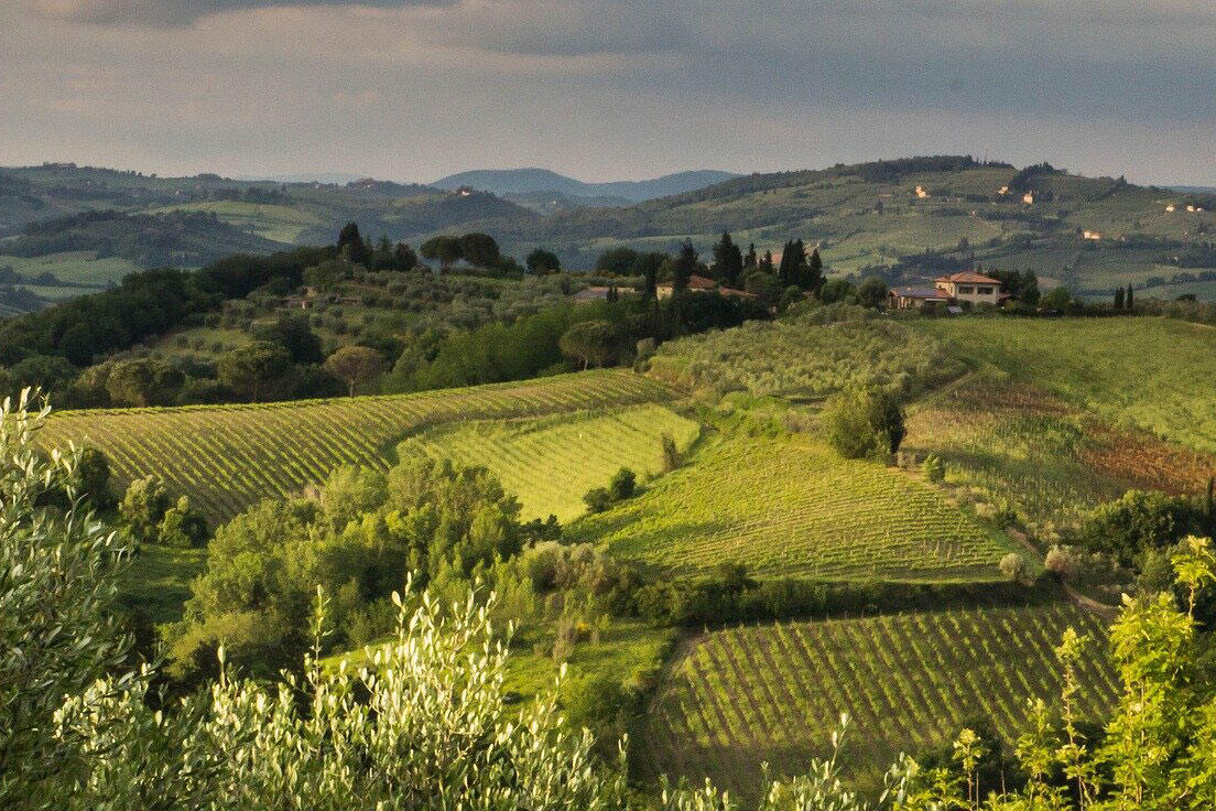 Tuscany Truffle Hunt