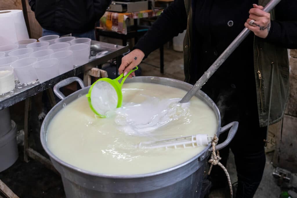 Ricotta-Da-Salvatore-making-cheese-sicility-fresh