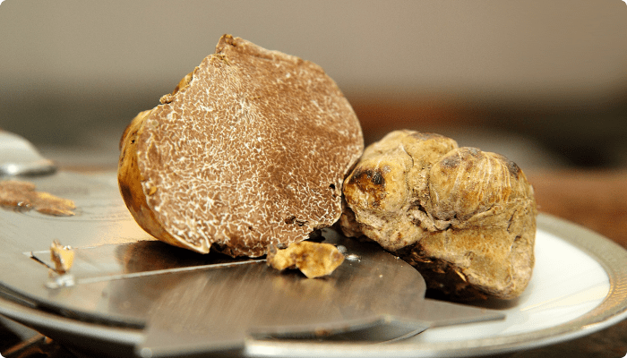 White Truffle of Alba
