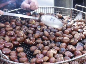Sagra_delle_Castagne_e_del_Marron_Buono_chestnuts_Milan