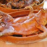 plate_of_cochinillo_Madrid