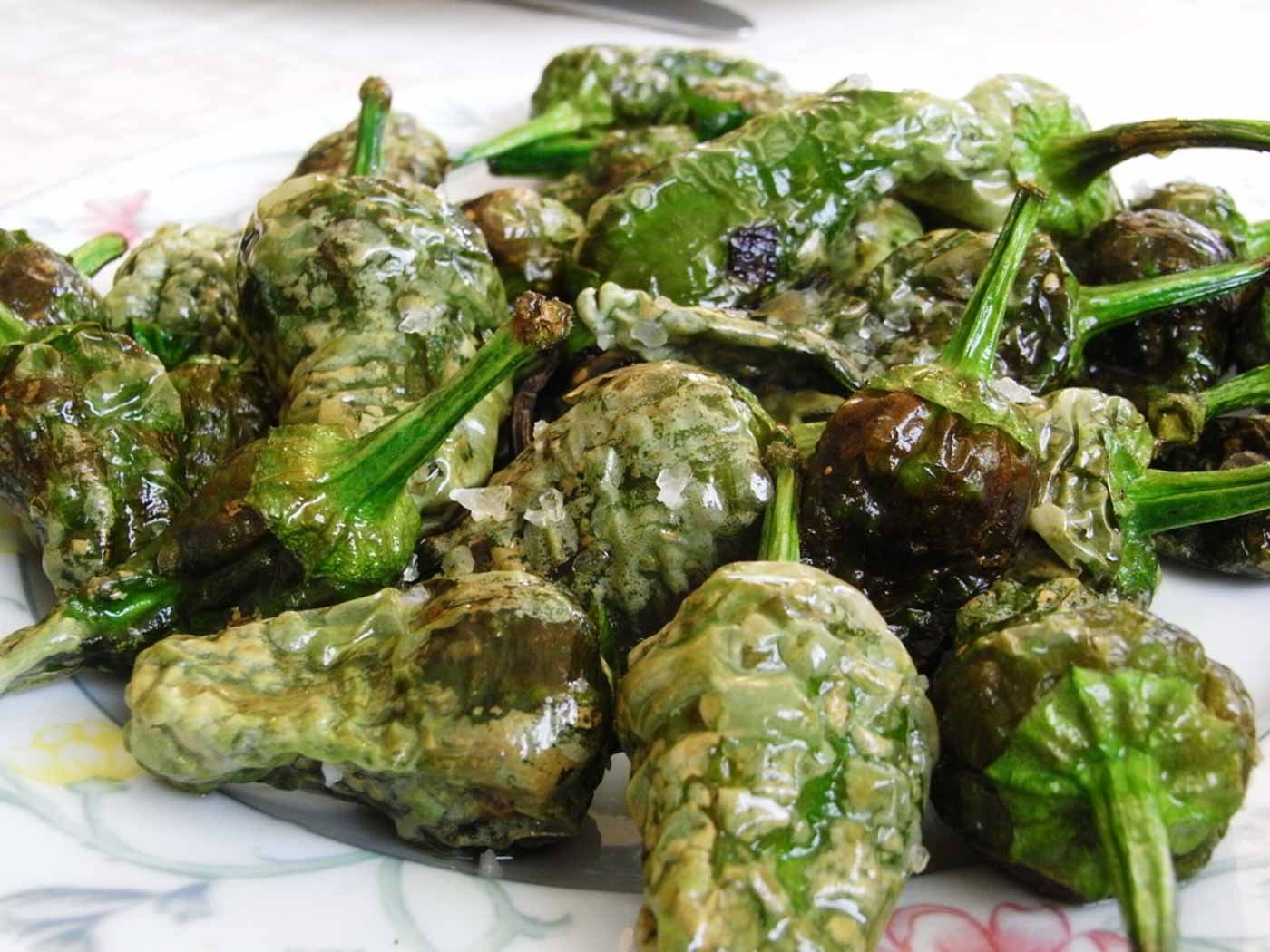 Padron_peppers_Seville