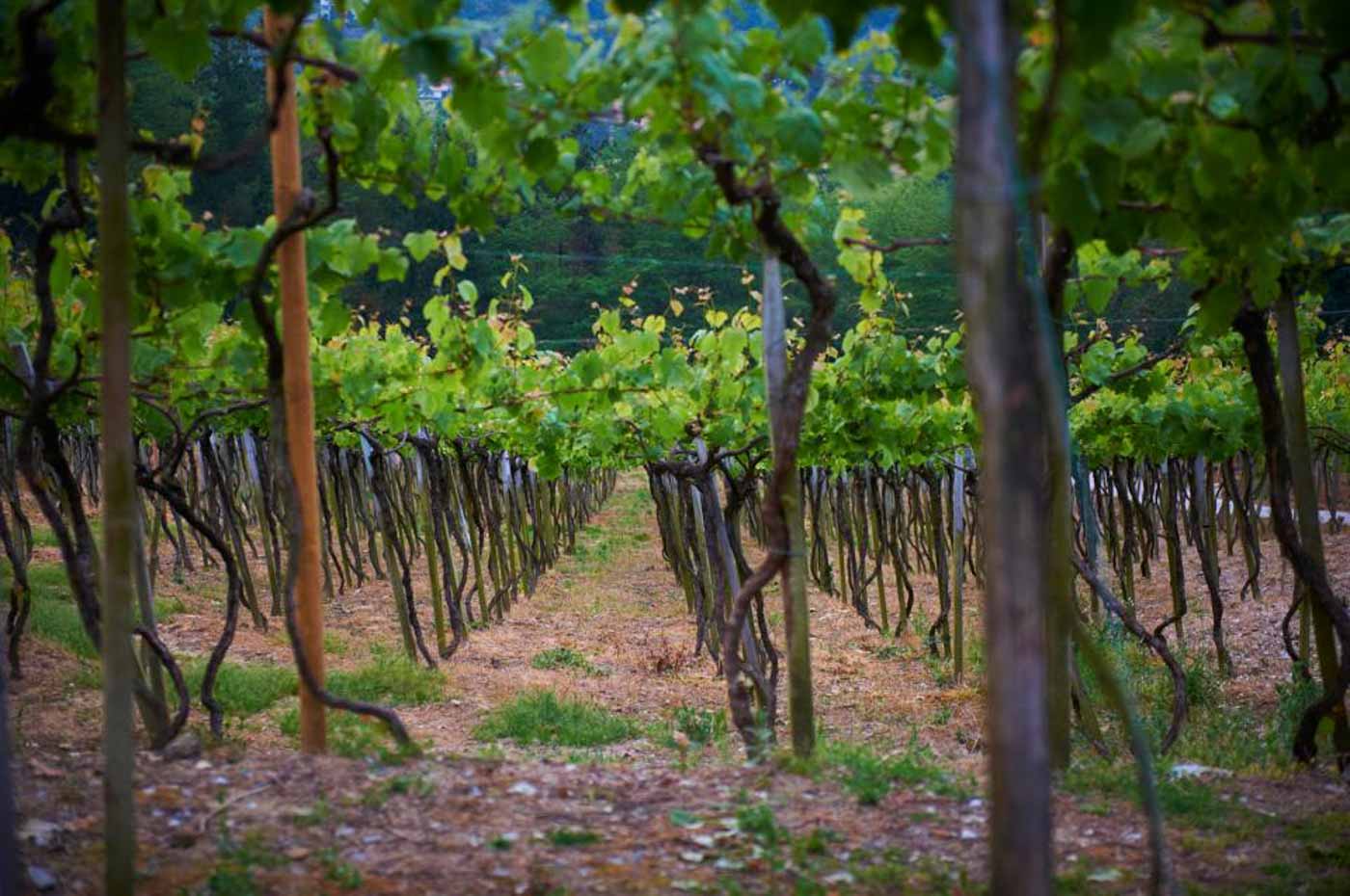 Rezabal_San_Sebastian