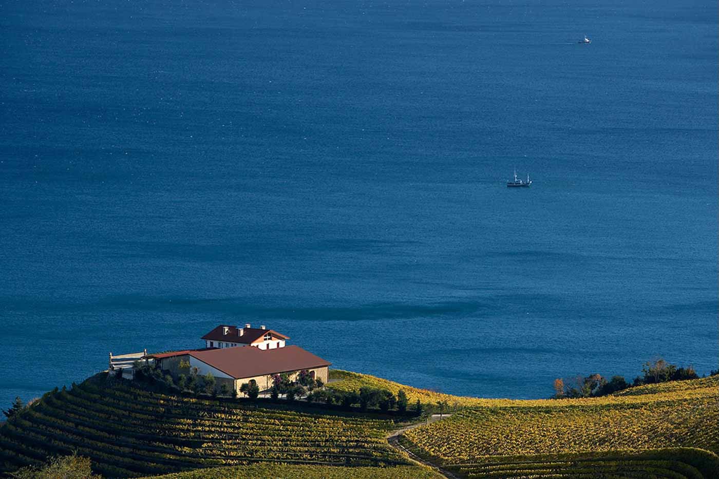 Txomin_Etxaniz_San_Sebastian