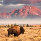 Excursion12995642661 Avatar