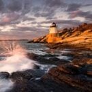 DayTrip02390335801 Avatar