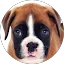 Liv112 Wright Avatar